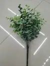 خمسة شوكة للرش يوغالي details Picture